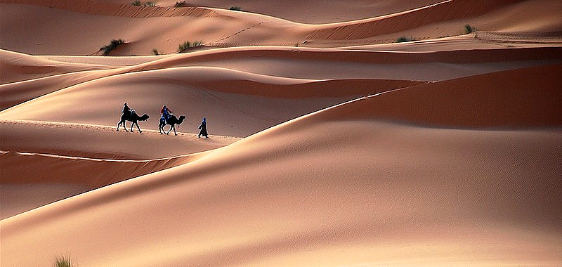 Trip in Sahara desert